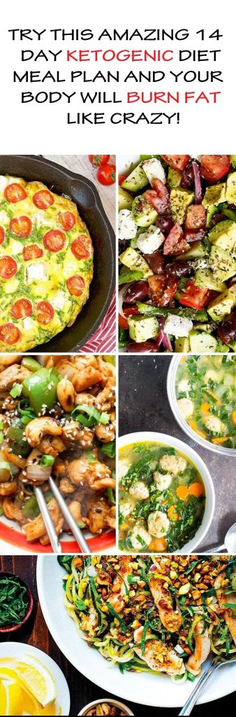 14 Day Keto Diet
 Try This Amazing 14 Day Ketogenic Diet Meal Plan And Your
