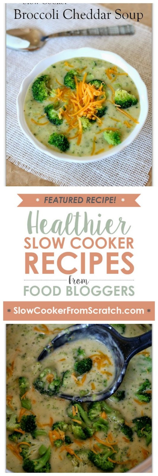 365 Gluten Free Crockpot Recipes
 Slow Cooker from Scratch Slow Cooker Light and Gluten