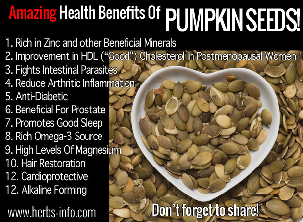 Are Pumpkin Seeds Healthy
 Amazing Health Benefits Pumpkin Seeds Herbs Info