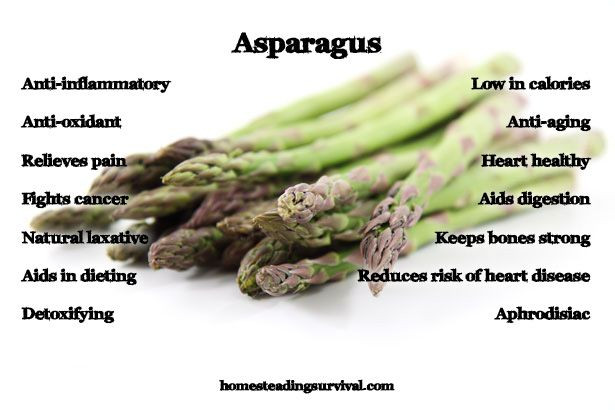 Asparagus Benefits Weight Loss
 The Health Benefits of Asparagus More info here