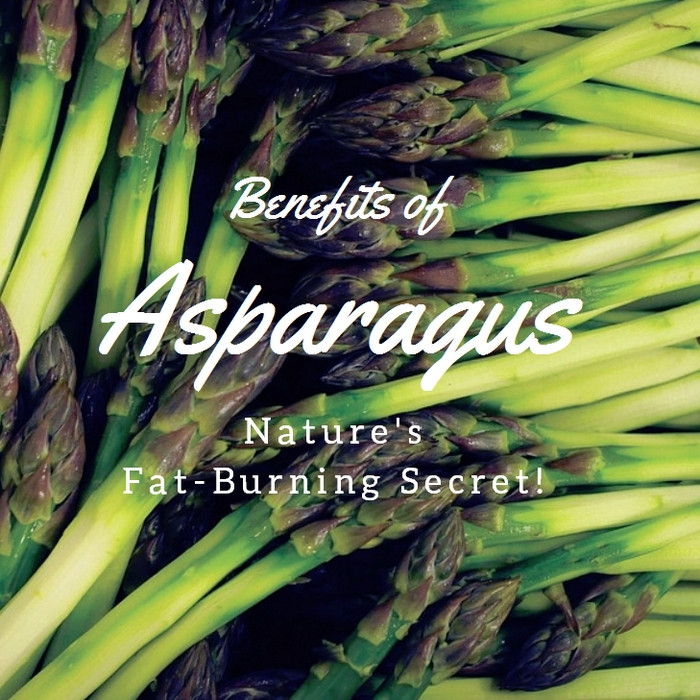 Asparagus Benefits Weight Loss
 Benefits of Asparagus Nature s Fat Burning Secret