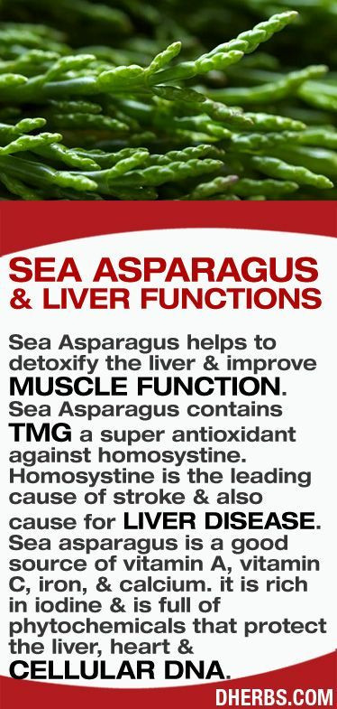 Asparagus Benefits Weight Loss
 Sea Asparagus benefits Learn to love nutrition and be