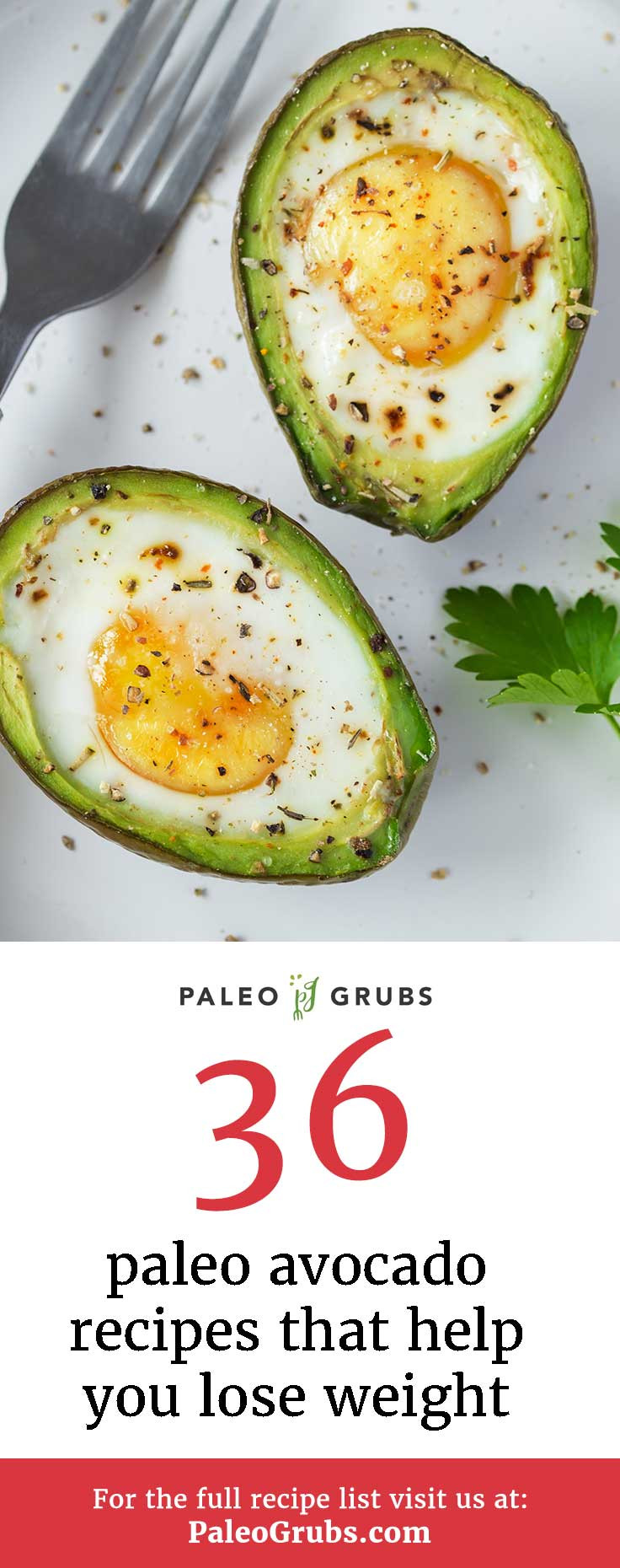 Avocado Weight Loss Recipes
 36 Paleo Avocado Recipes That Help You Lose Weight