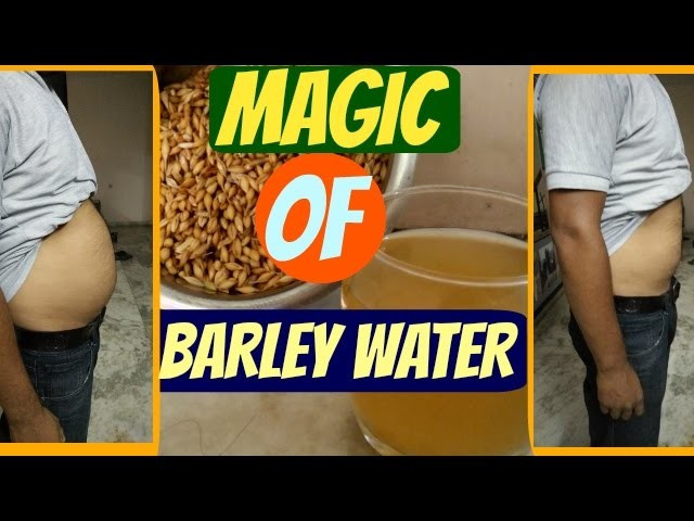 Barley Weight Loss
 How to Make BARLEY WATER for WEIGHT LOSS in Hindi Barley