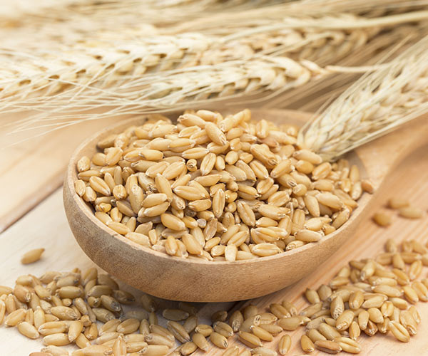 Barley Weight Loss
 4 Anti Inflammatory Foods Doctors Swear By For Fat Loss