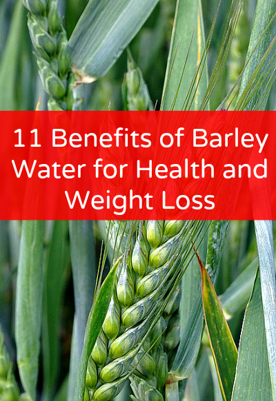 Barley Weight Loss
 11 Benefits of Barley Water for Health and Weight Loss