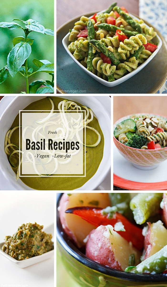 Basil Recipes Vegan
 Pesto Primavera Pasta and Other Fresh Basil Recipes