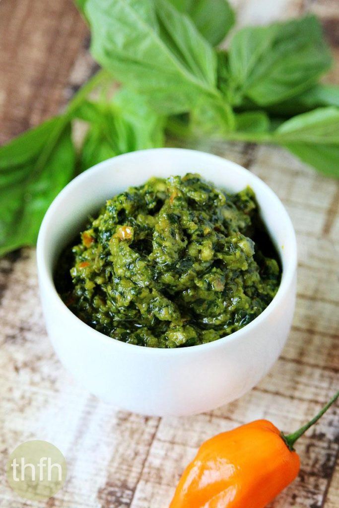 Basil Recipes Vegan
 Vegan Habanero and Basil Pesto