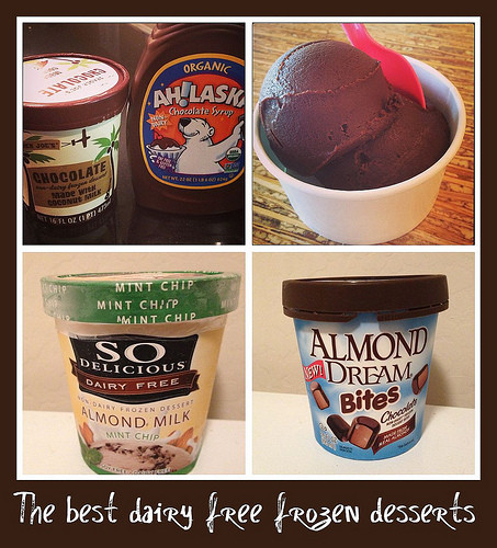 Best Dairy Free Desserts
 The Best Dairy Free Frozen Desserts Sweet Shoppe Mom