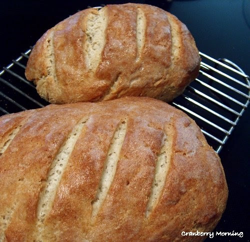 Best Gluten Free Flour For Bread
 Cranberry Morning Best Gluten Free Bread Recipe