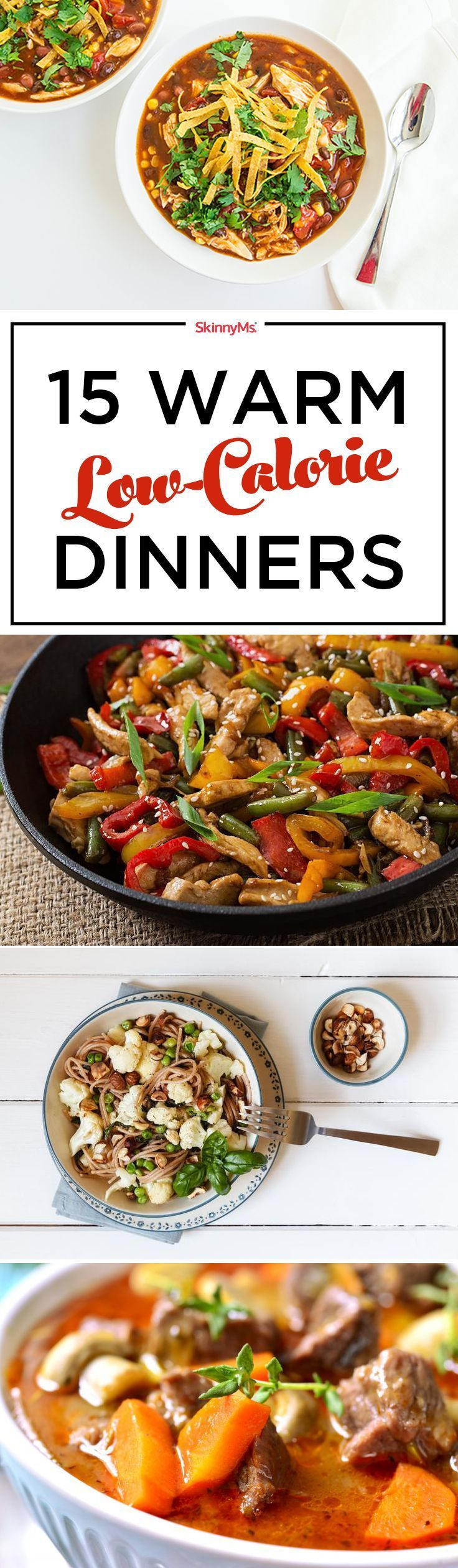 Best Low Calorie Dinners
 1240 best images about Low Calorie Options on Pinterest