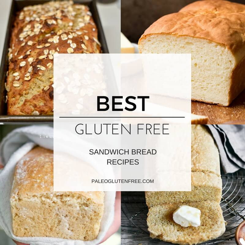 Best Vegan Gluten Free Bread
 Best Gluten Free Sandwich Bread Recipes Paleo Gluten