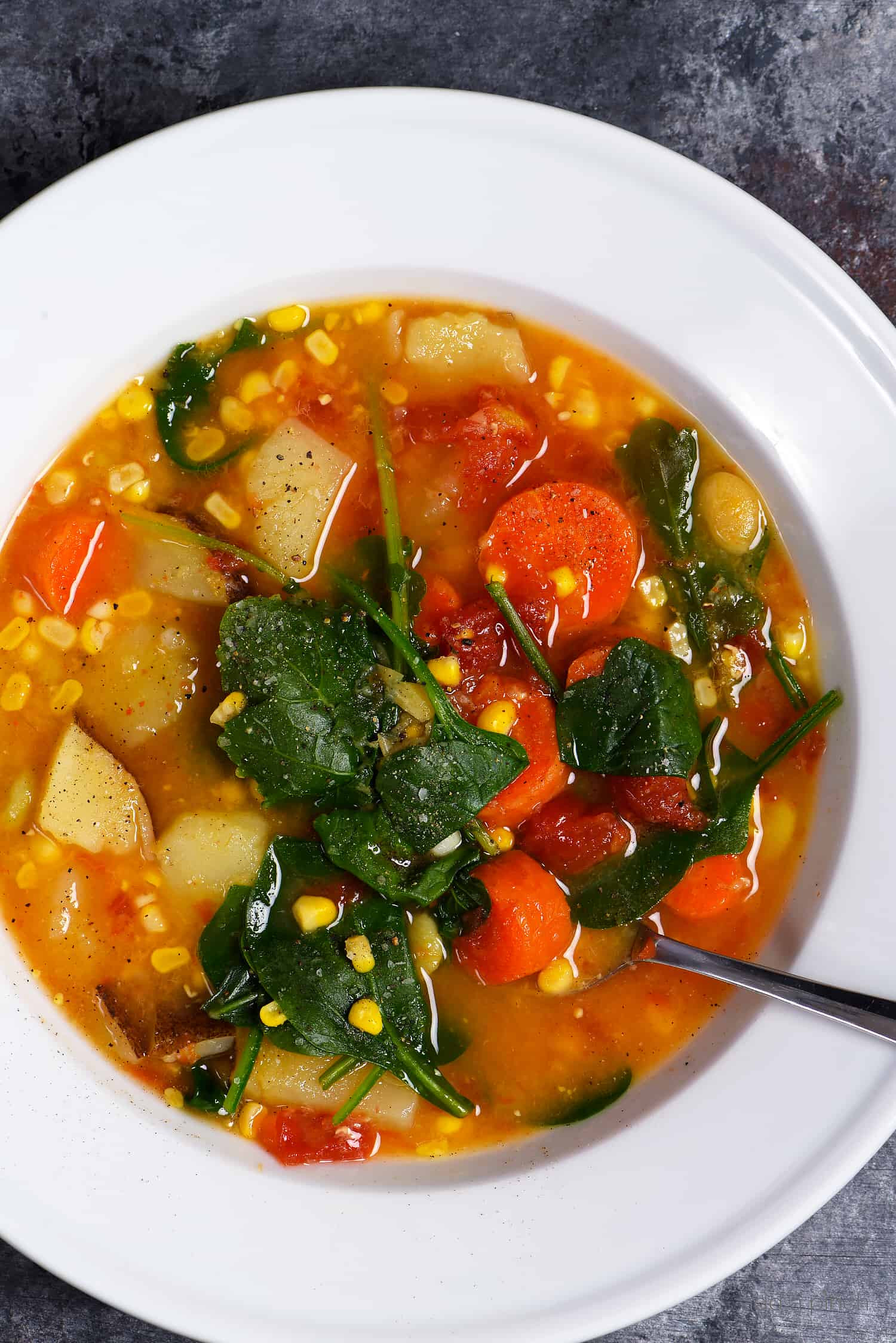 Best Vegetarian Soup Recipes
 Lentil Ve able Soup Recipe Add a Pinch