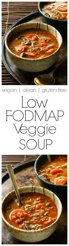 Bragg Vegetarian Health Recipes Pdf
 The plete Low FODMAP Food List Free Printable PDF