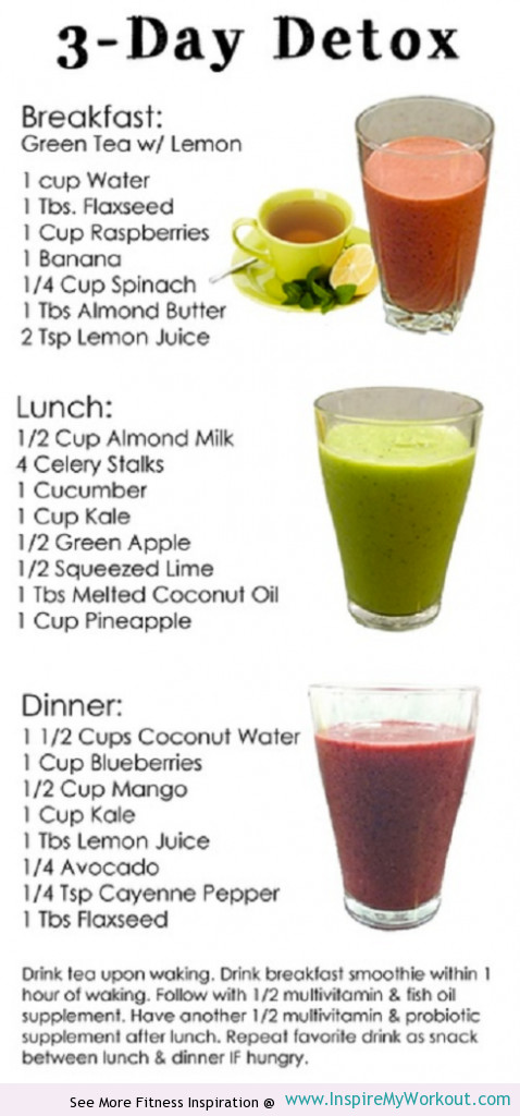 Breakfast Juice Recipes Weight Loss
 3 Day Detox Diet