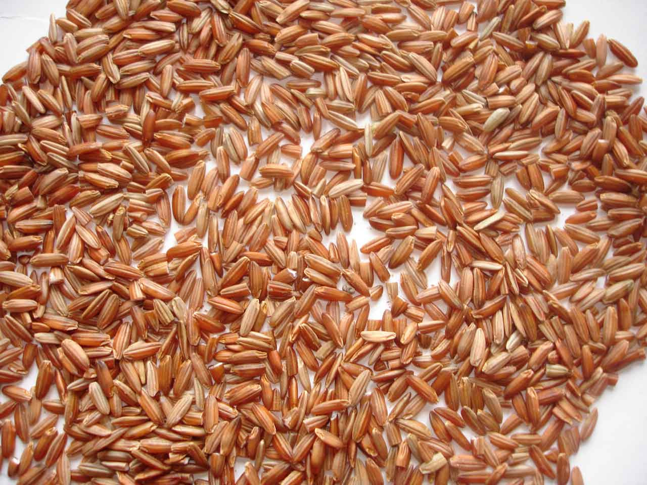 Brown Rice For Diabetics
 Healthy Body Information Red Rice Lower Diabetes Risk