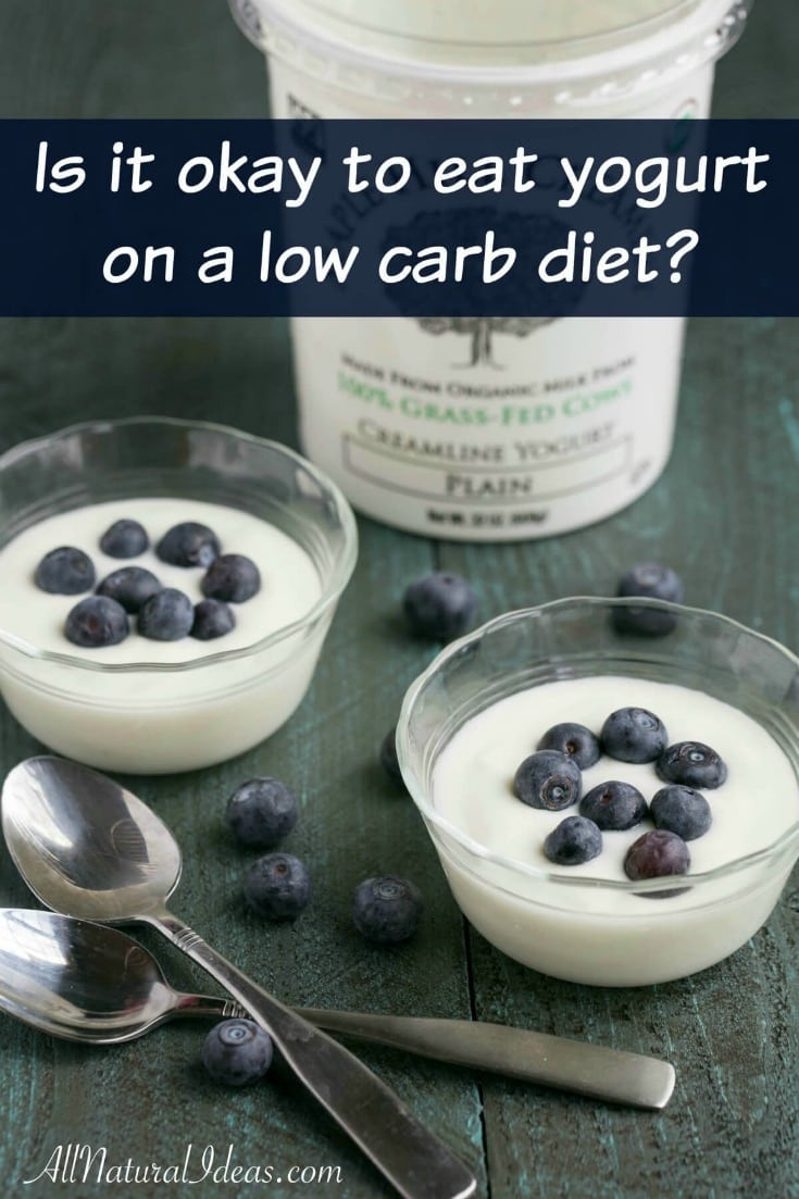 Can You Eat Yogurt On Keto Diet
 Ketogenic Diet Yogurt