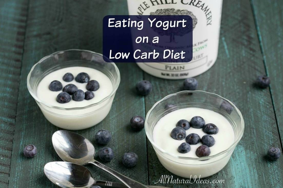 Can You Eat Yogurt On Keto Diet
 Low Carb Yogurt Options for a Keto Diet