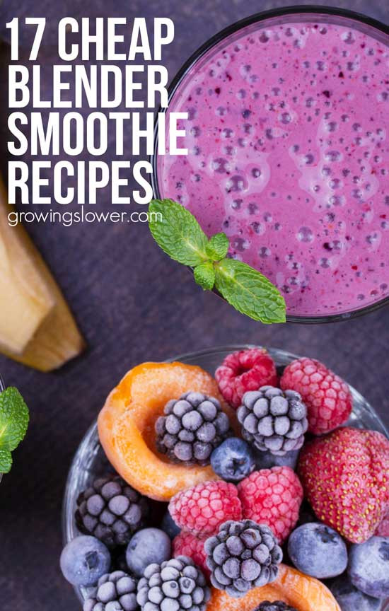 Cheap Healthy Smoothies
 Best Cheap Smoothie Blender 17 Smoothie Recipes to Make