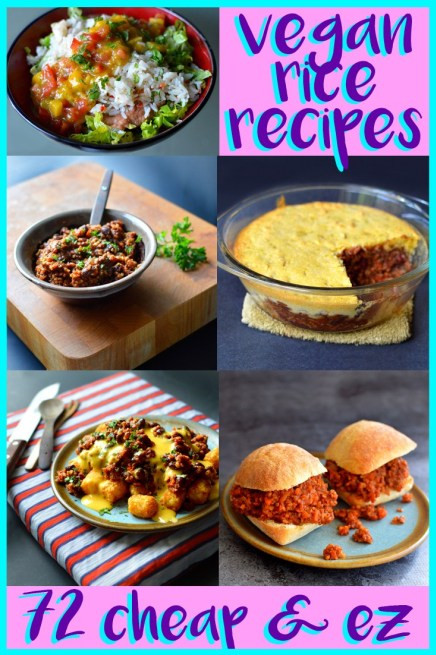 Cheap Vegan Recipes For College Students
 72 Cheap Easy Vegan Meals For College & Poor People – Rich