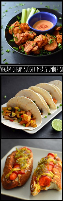 Cheap Vegan Recipes For College Students
 3 Vegan $1 Meals College Students – Rich Bitch Cooking