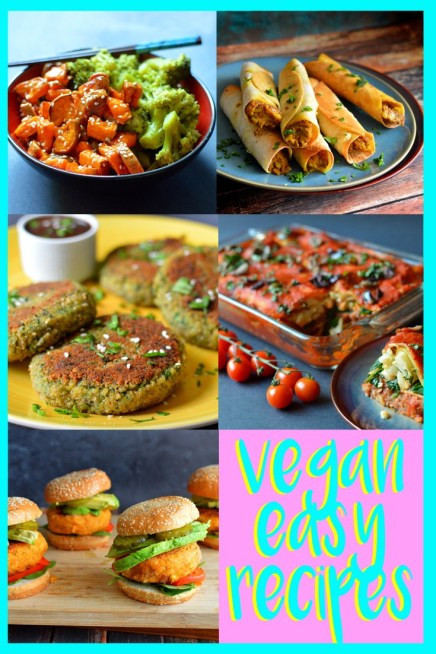 Cheap Vegan Recipes For College Students
 72 Cheap Easy Vegan Meals For College & Poor People – Rich