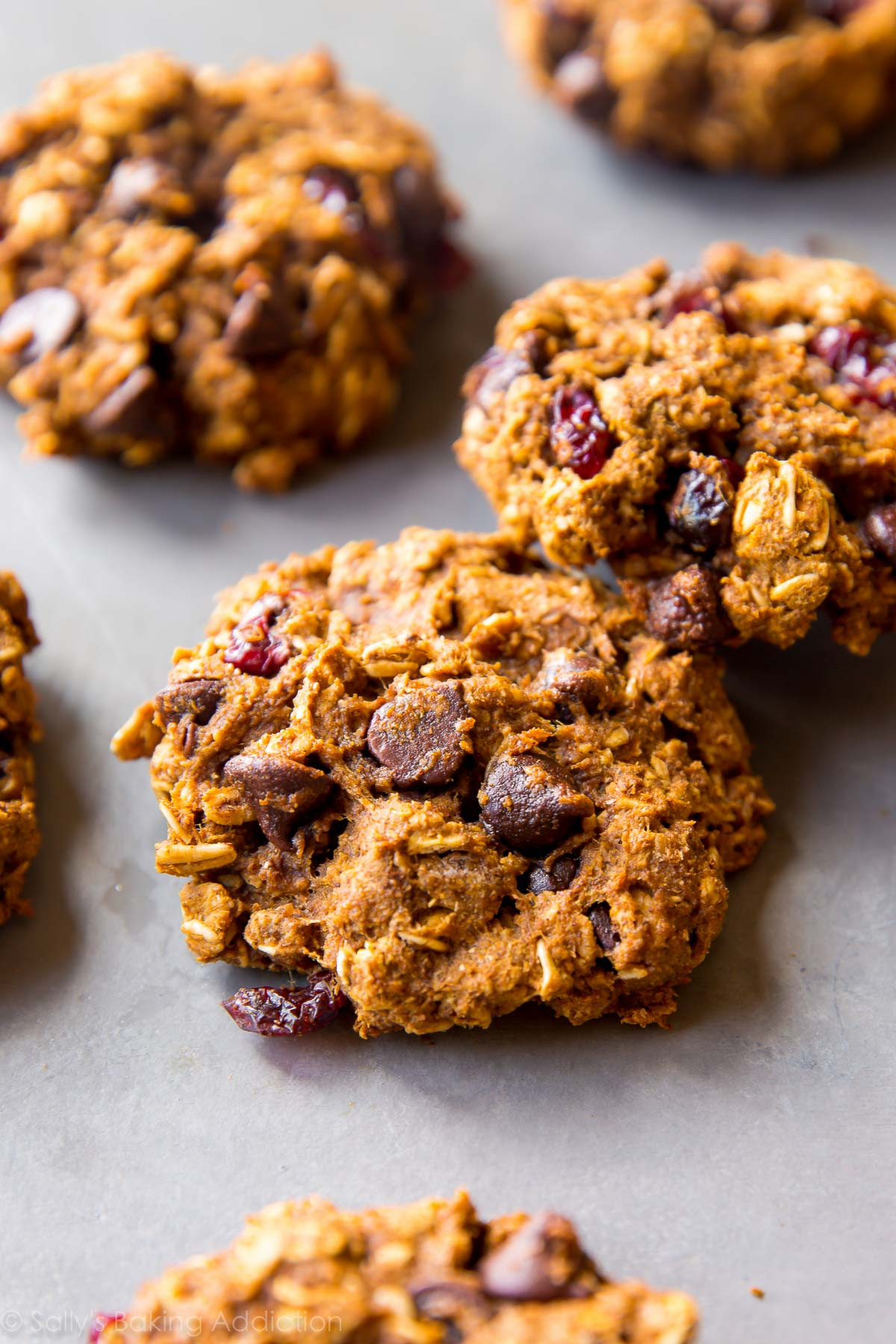 Choc Chip Oatmeal Cookies Healthy
 Healthy Pumpkin Chocolate Chip Oatmeal Cookies Sallys