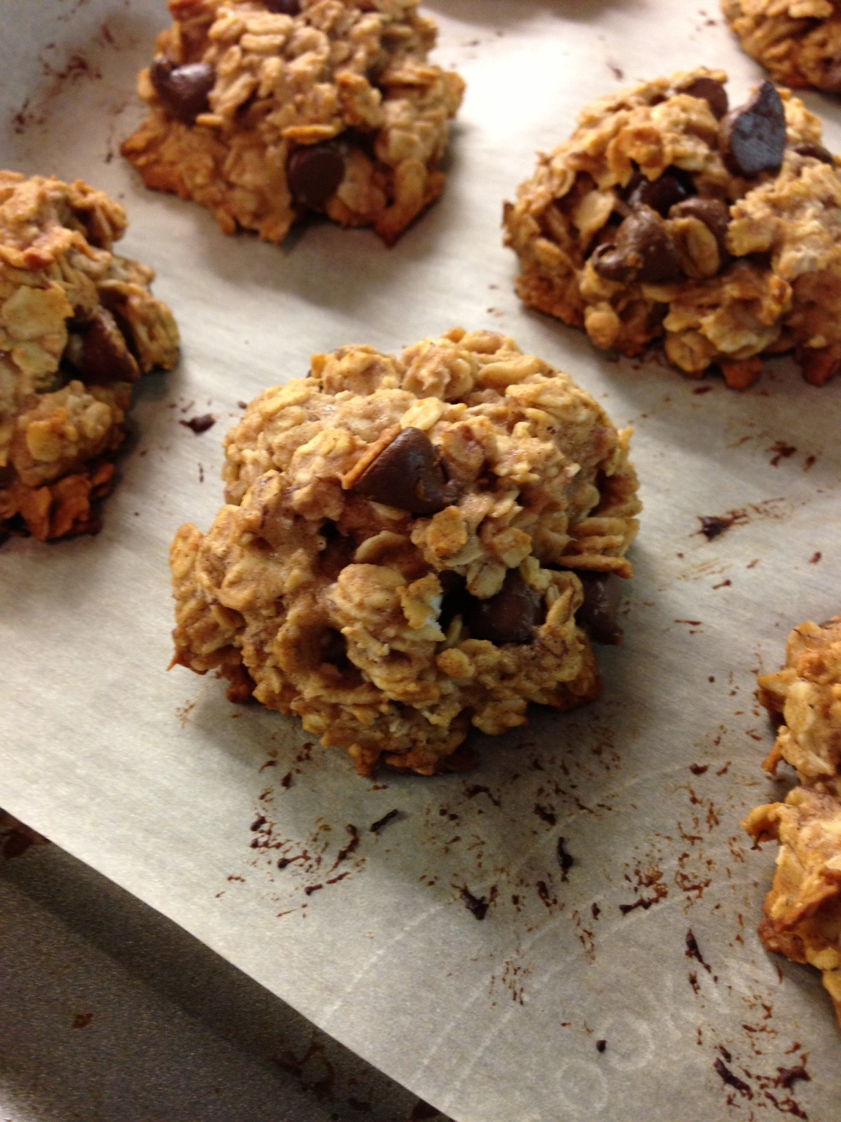 Choc Chip Oatmeal Cookies Healthy
 Healthy Oatmeal Chocolate Chip Cookies Lauren Follett