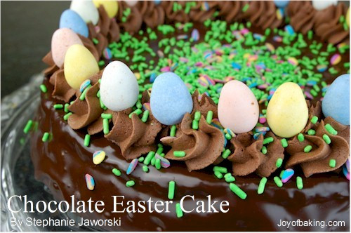 Chocolate Easter Desserts Recipes
 Chocolate Easter Cake Recipe Joyofbaking Tested Recipe