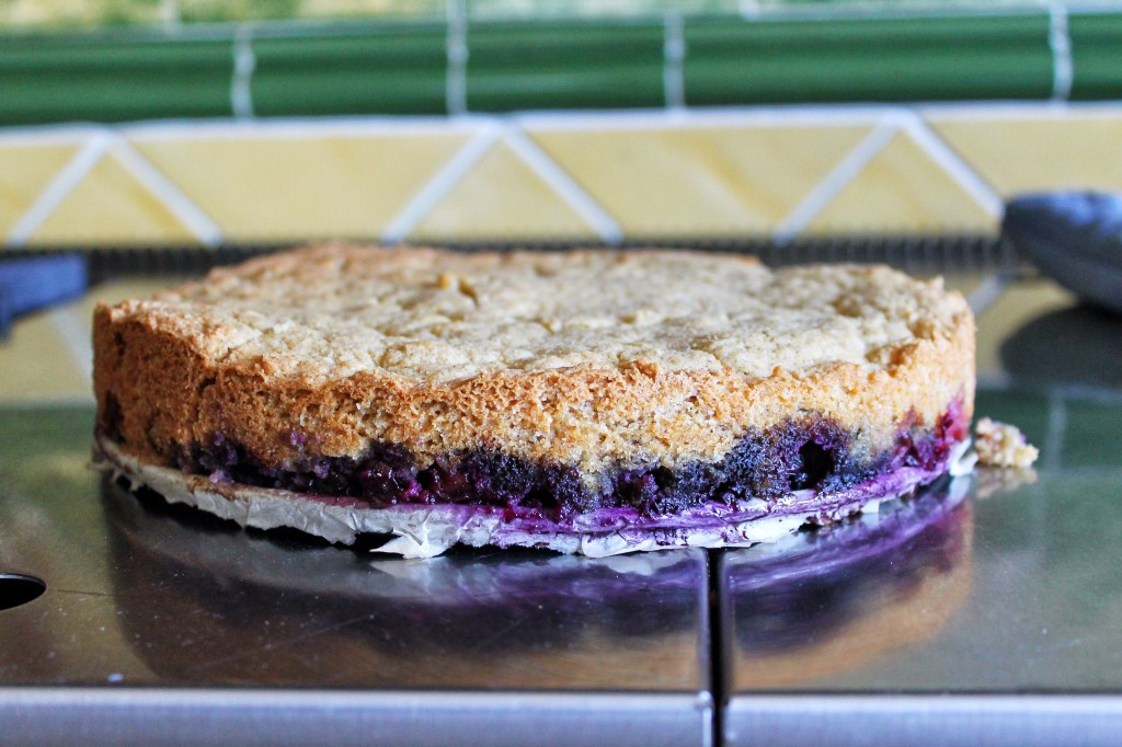 Cornmeal Gluten Free
 Cornmeal Berry Cake