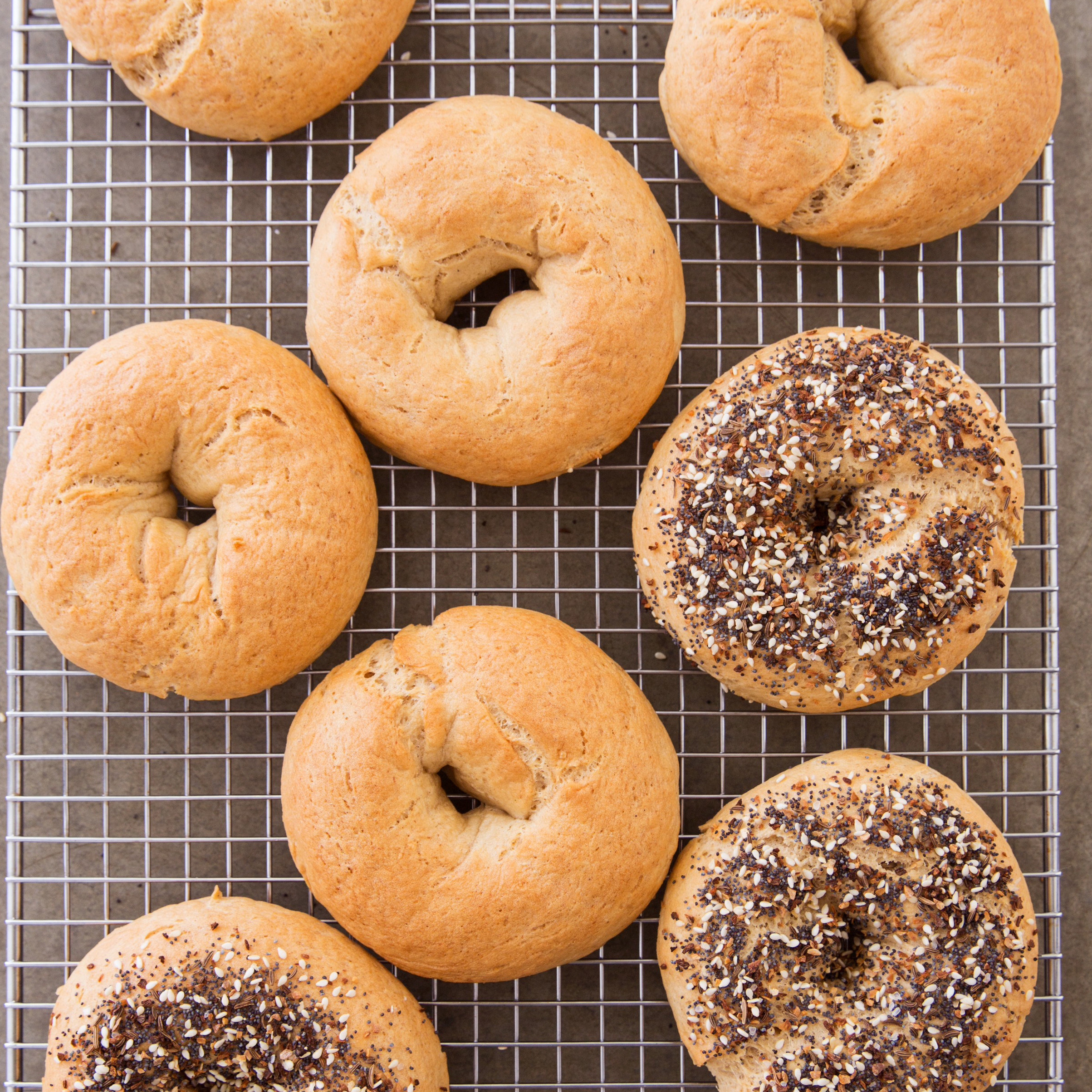 Dairy Free Bagels
 best gluten free bagels online