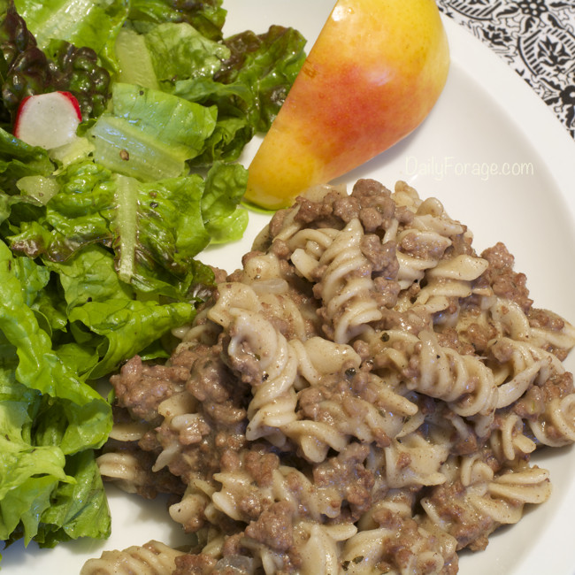 Dairy Free Beef Stroganoff
 Gluten free Dairy free Soy free Beef Stroganoff