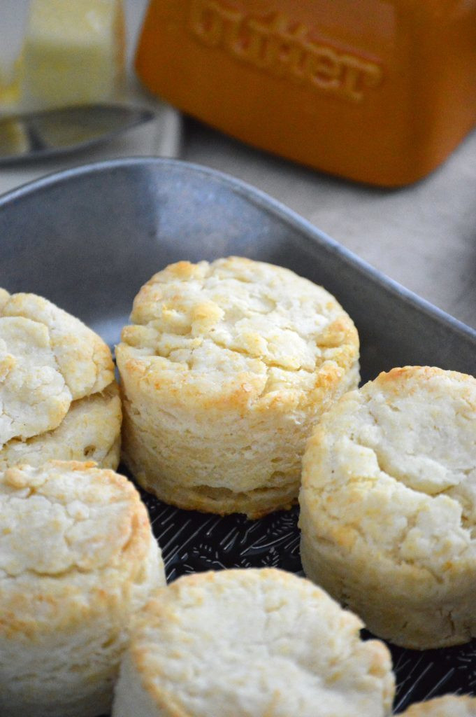 Dairy Free Biscuit Recipe
 Gluten Free Biscuits What the Fork