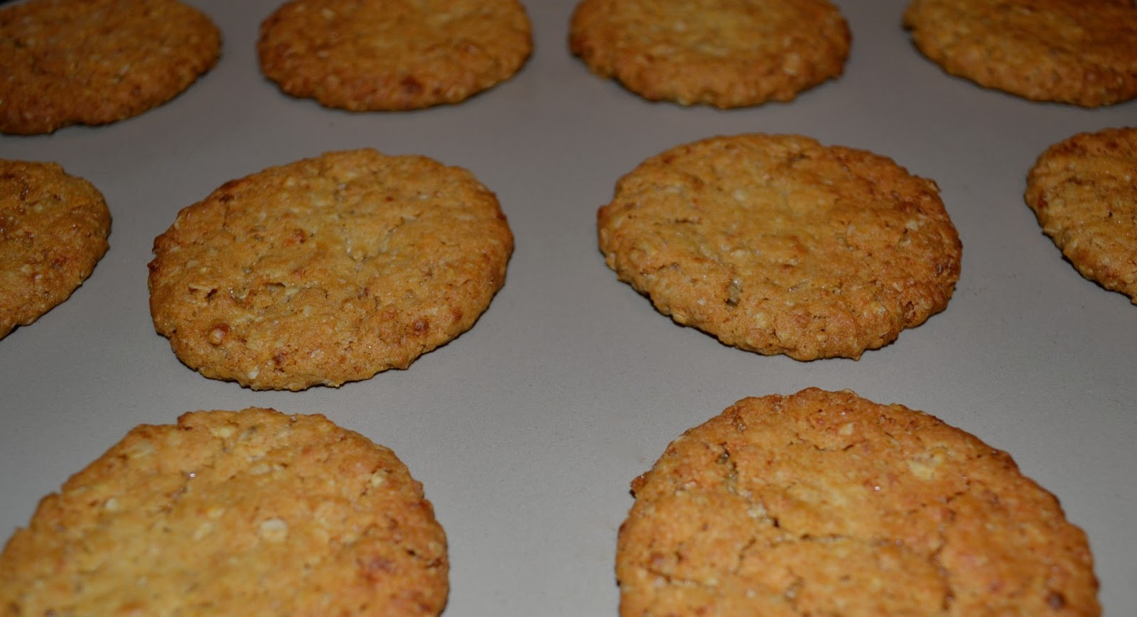 Dairy Free Biscuit Recipe
 My Pampered Life Caravan Biscuits for the holidays