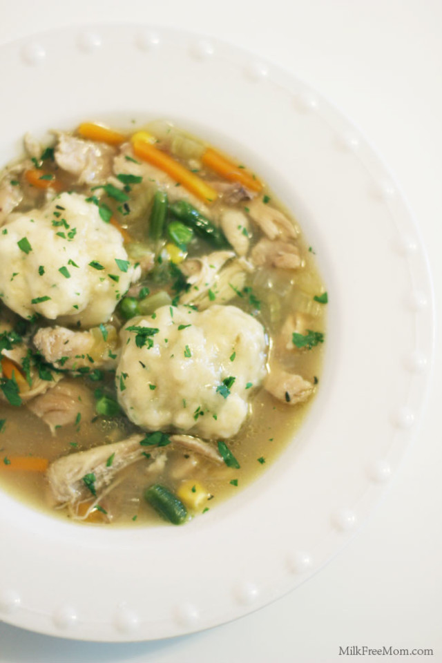 Dairy Free Chicken And Dumplings
 Dairy Free fort Food Confessions of a Northern Belle