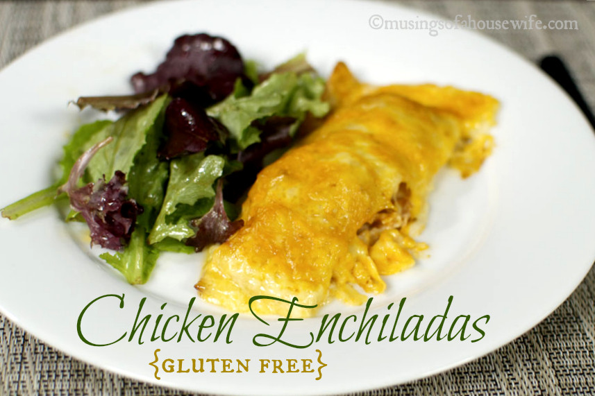 Dairy Free Chicken Enchiladas Chicken Enchiladas glutenfree
