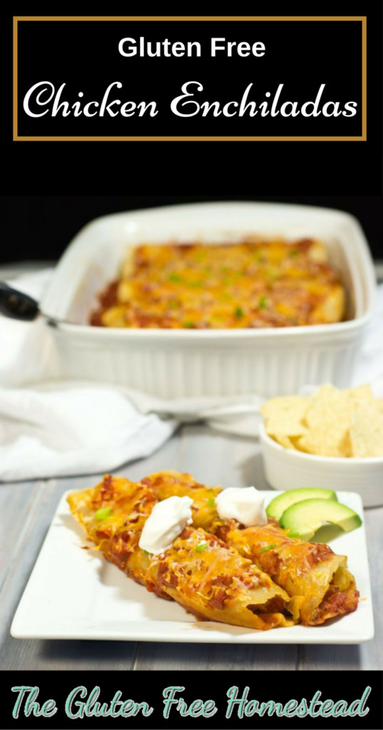 Dairy Free Chicken Enchiladas Gluten Free Chicken Enchiladas