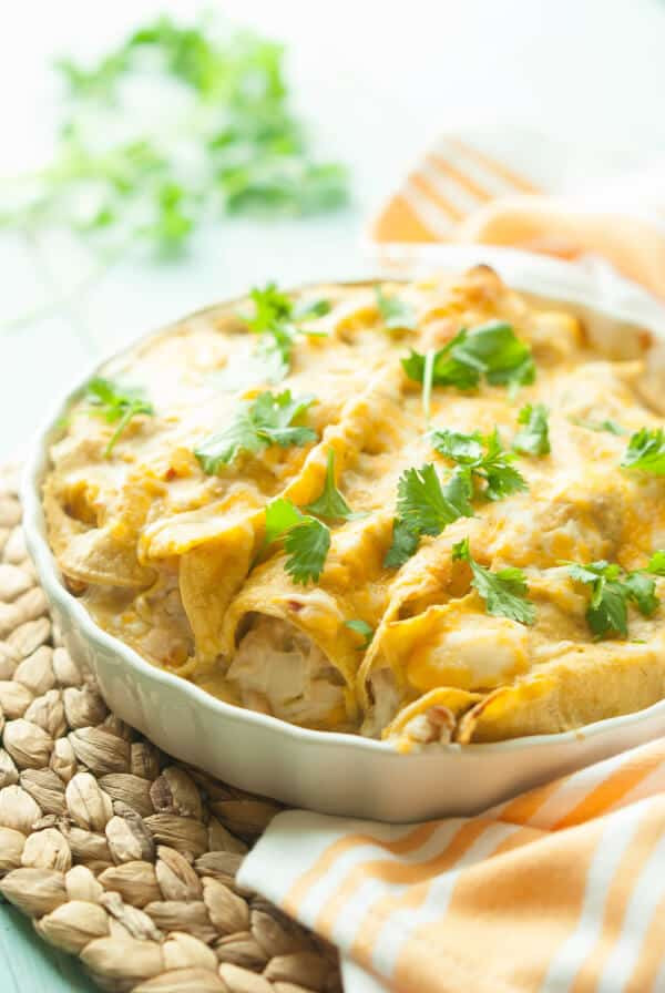 Dairy Free Chicken Enchiladas Best Ever Gluten Free Chicken Enchiladas Recipe