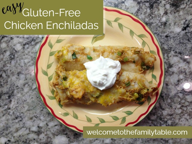 Dairy Free Chicken Enchiladas Gluten Free Chicken Enchiladas Wel e to the Family Table™