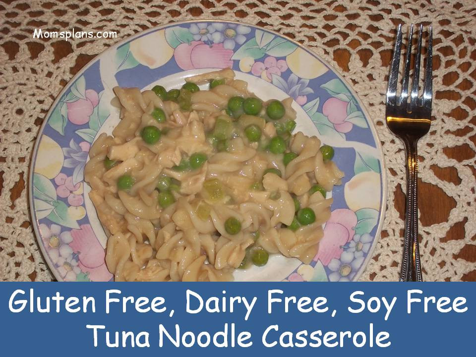 Dairy Free Chicken Noodle Casserole
 Tuna Noodle Casserole Gluten Dairy and Soy Free Mom s