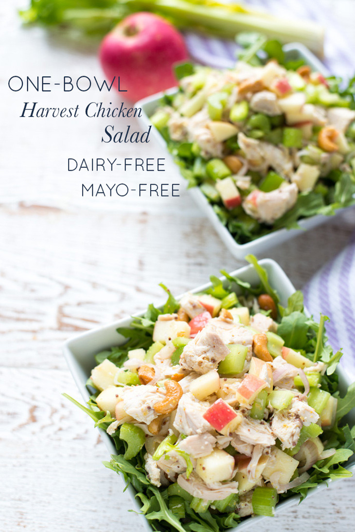 Dairy Free Chicken Salad
 e Bowl Harvest Chicken Salad Dairy Free Mayo Free