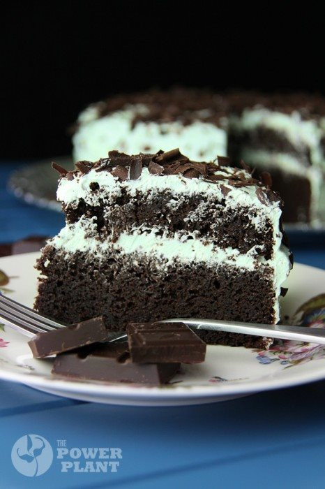 Dairy Free Chocolate Cake Recipe
 14 Gluten Free and Vegan Cake Recipes To Die For