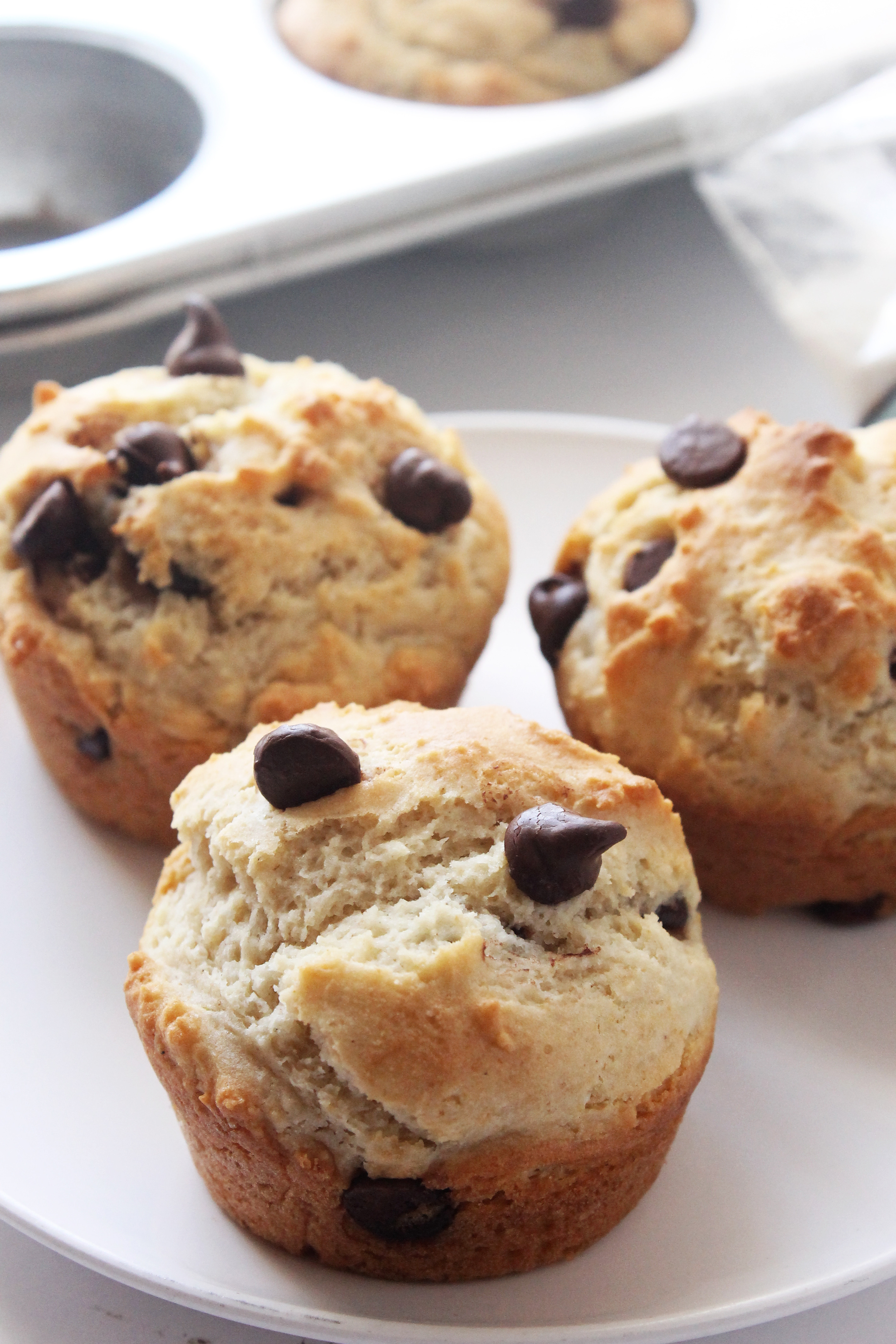 Dairy Free Chocolate Chip Muffins
 Gluten Free Chocolate Chip Muffins