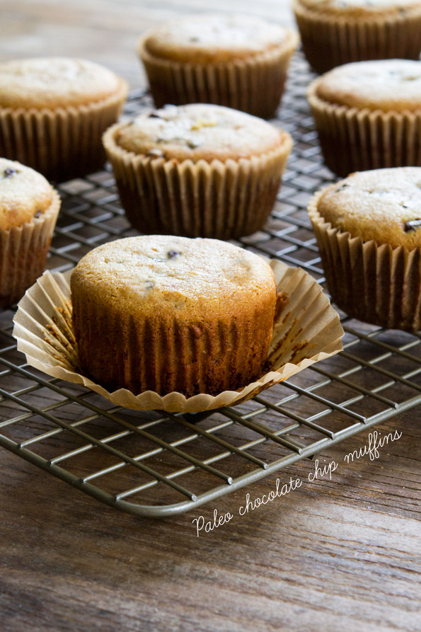 Dairy Free Chocolate Chip Muffins
 Paleo Chocolate Chip Muffins Gluten Free Grain Free Dairy