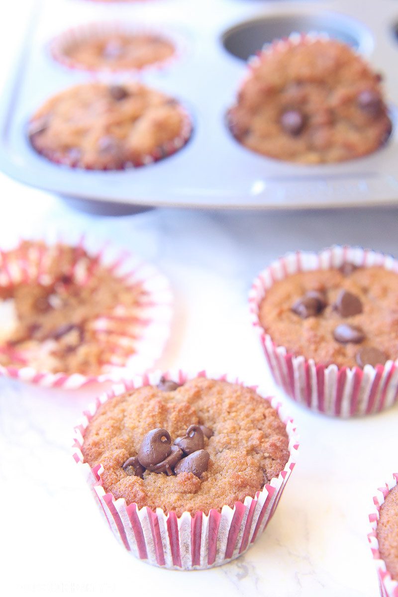 Dairy Free Chocolate Chip Muffins
 Delicious Chocolate Chip Muffin Recipe Gluten Free