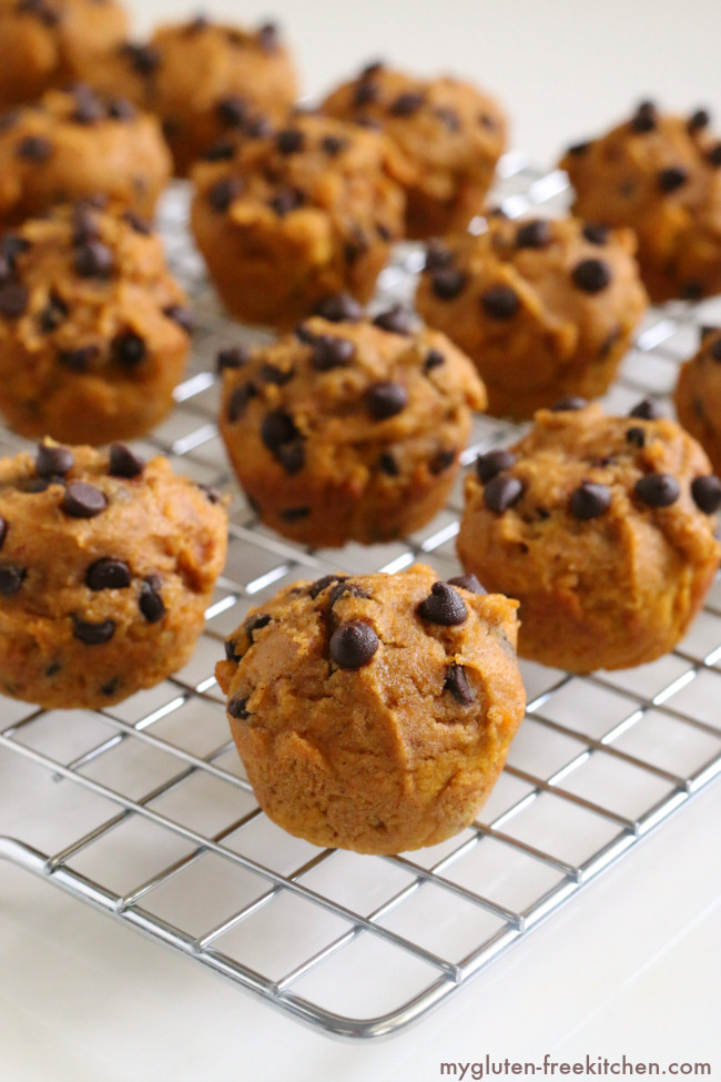 Dairy Free Chocolate Chip Muffins
 Gluten free Dairy free Pumpkin Chocolate Chip Mini Muffins