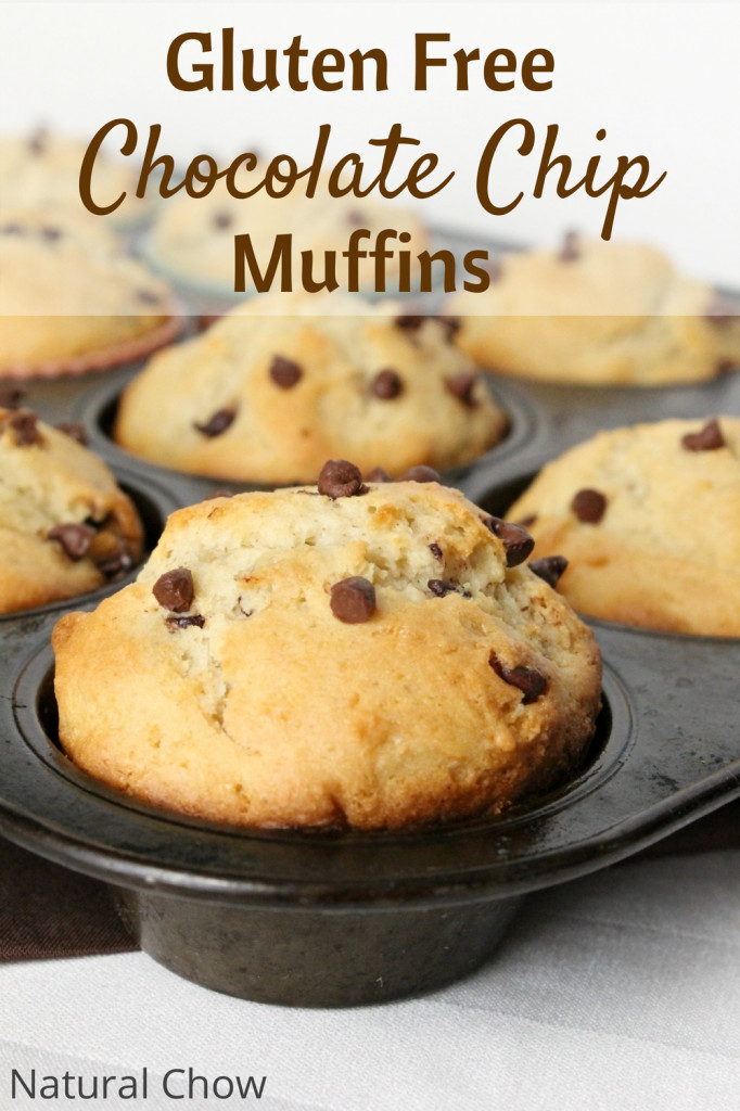 Dairy Free Chocolate Chip Muffins
 Gluten Free Chocolate Chip Muffins Natural Chow