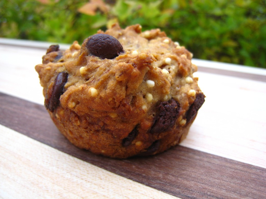 Dairy Free Chocolate Chip Muffins
 Banana Chocolate Chip Muffins gluten & dairy free vegan