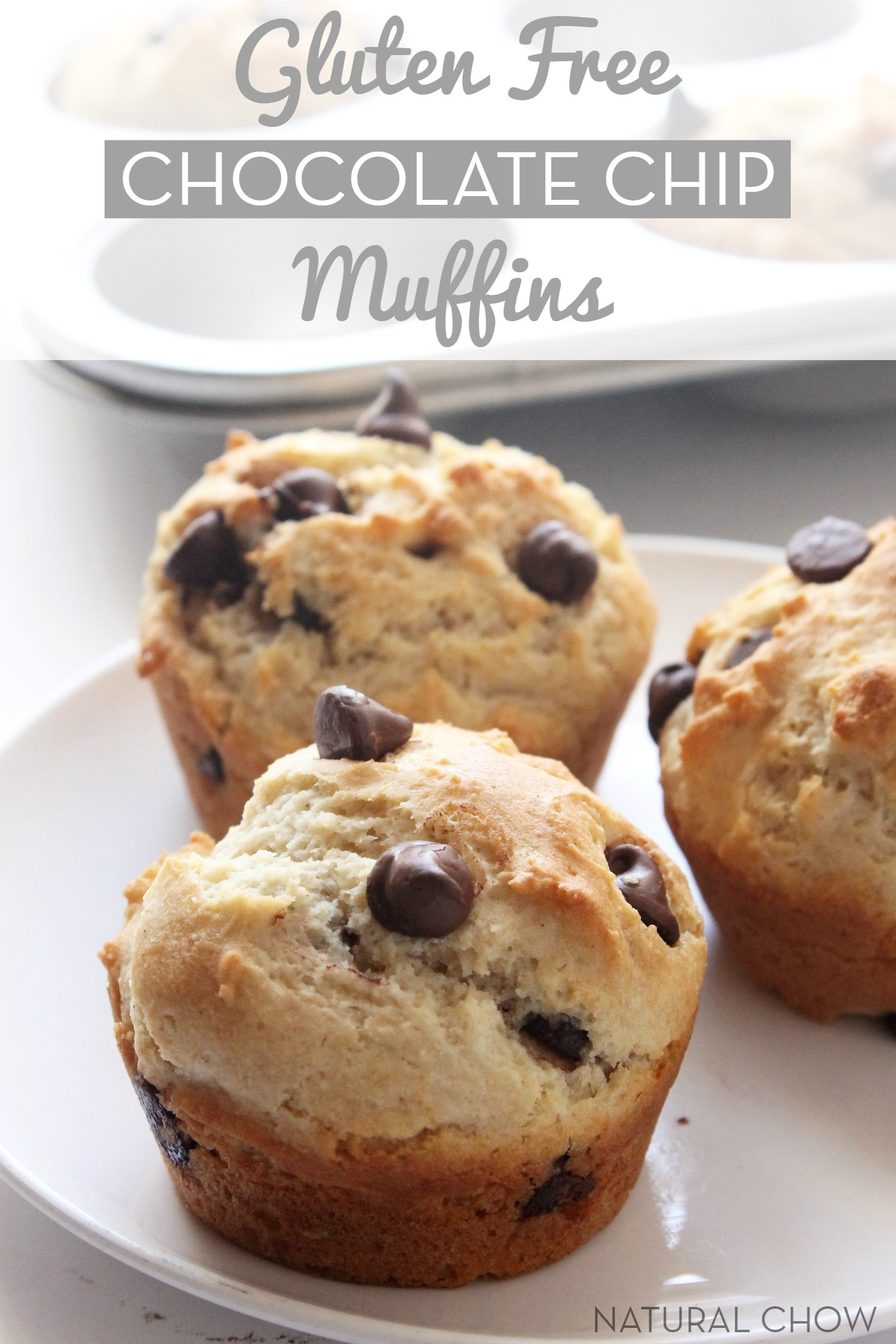 Dairy Free Chocolate Chip Muffins
 Gluten Free Chocolate Chip Muffins