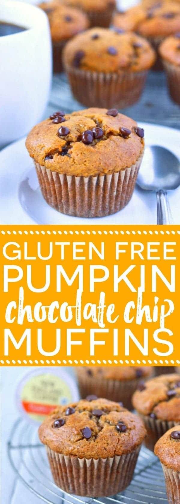 Dairy Free Chocolate Chip Muffins
 pumpkin chocolate chip muffins gluten free